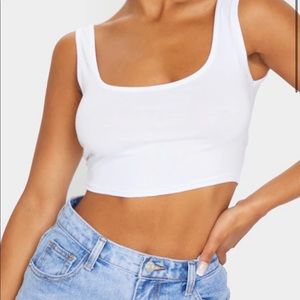 PLT Crop Top
